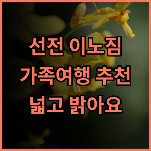 선전 이노짐 호텔 추천 후기! 넓고 밝은 객실, 섬세한 서비스에 감동 가족여행 선전여행 이노짐호텔