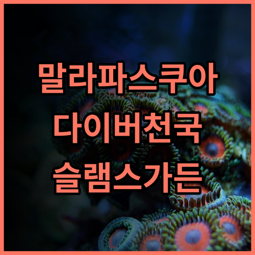 슬램스 가든 리조트 추천 후기, 말라파스쿠아 다이버들의 천국! 바로 여기! 다이빙 필리핀여행 힐링