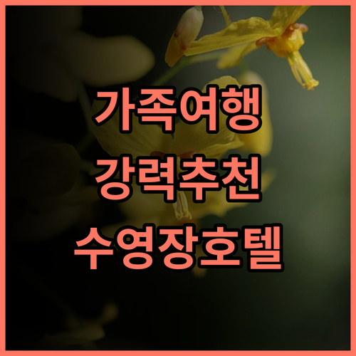 샤먼 인터내셔널 시사이드 호텔 추천 후기 가족 여행객에게 강추하는 이유 가족호텔 샤먼여행 아이와함께 수영장