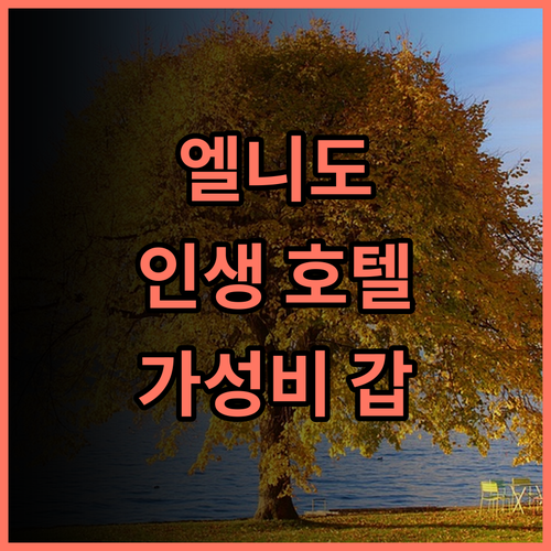 The Funny Lion 엘니도 추천 후기! 엘니도에서 가장 핫한 호텔, 놓치면 후회! 엘니도호텔 가성비최고 인생샷명소