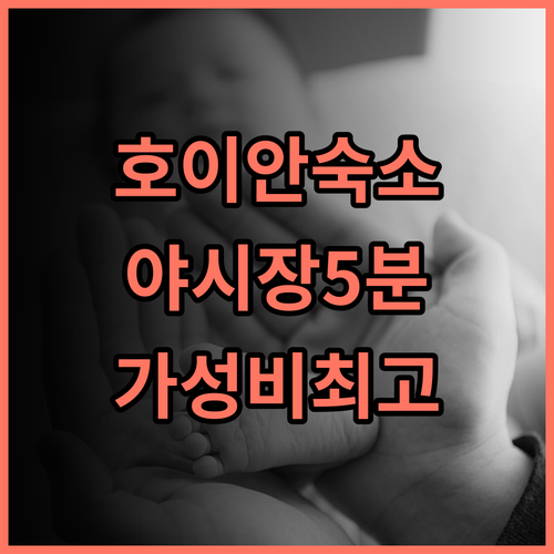 빈흥 에메랄드 리조트, 호이안 야시장 도보 5분! 최고의 위치, 최고의 선택 호이안숙소 가성비 커플여행