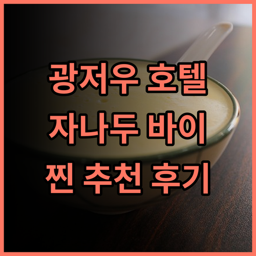 비네트 컬렉션 더 자나두 광저우 바이 IHG 추천 후기 객실, 서비스, 위치 모두 만족 광저우여행 호텔추천 가족여행 수영장