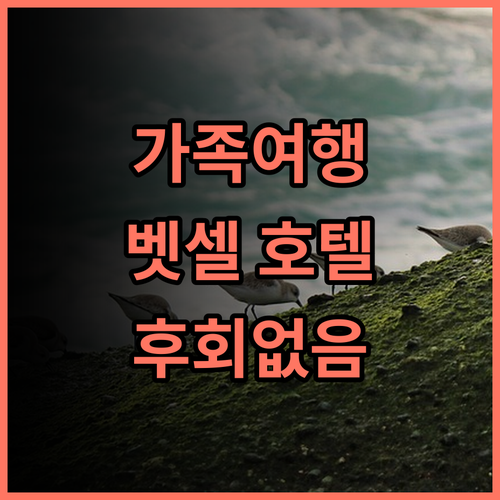벳셀 호텔 이시가키지마 추천 후기 가족 여행객 필독 숙소 선택 절대 후회 없을 거예요 이시가키여행 가족여행 호텔추천