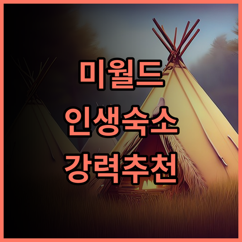 워터 미월드 리얼 후기 타이베이 최고의 힐링 숙소 인생숙소 강력추천 여행