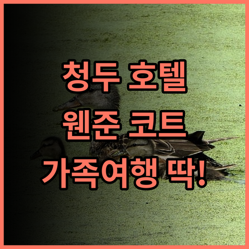 웬준 코트야드 호텔, 청두 지하철역 근처 최고의 선택! 실제 투숙객 추천 후기 청두호텔 웬준코트야드 지하철역근처 가족여행