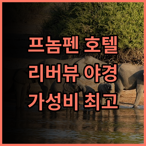 더 스노우벨 호텔 추천 후기 야경이 끝내주는 곳! 리버뷰 객실에서 잊지 못할 추억을 프놈펜호텔 차이나타운 가성비호텔
