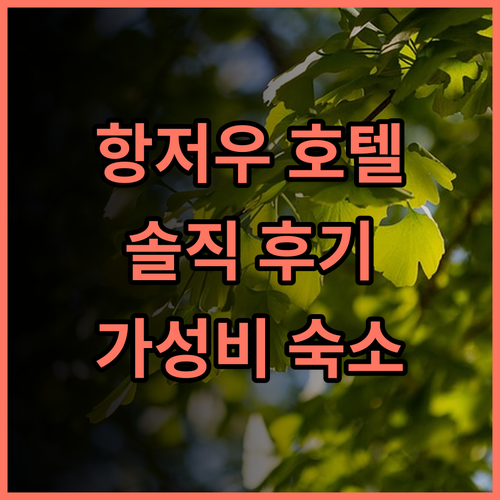항저우 위에 부티크 호텔 솔직 후기 롱후 쯔징 톈제 가성비 숙소 추천 가족여행 커플여행 강력추천