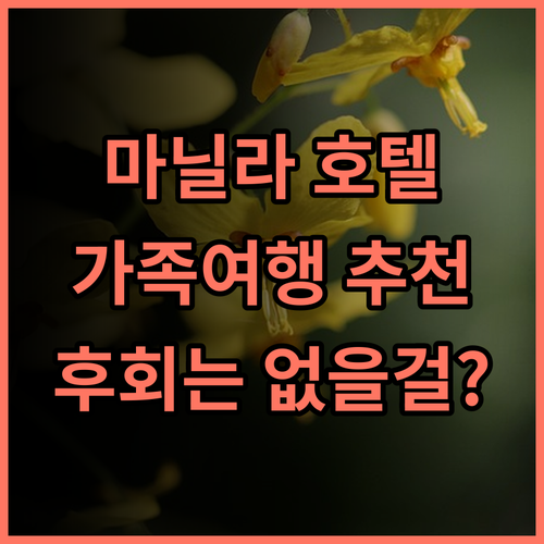 아쿠아의 노보텔 스위트 마닐라 추천 후기! 만달루용 최고의 선택, 후회 없을 거예요 가족여행 마닐라호텔 가성비호텔