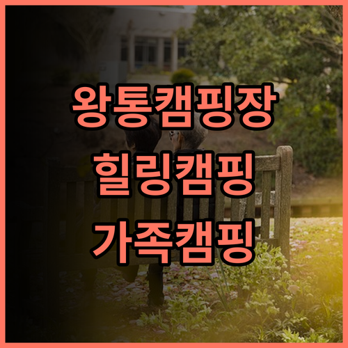 Wangtong Campground 추천 후기 자연 속 힐링! 캠핑 분위기를 만끽하세요 선전캠핑 자연휴양 가족캠핑