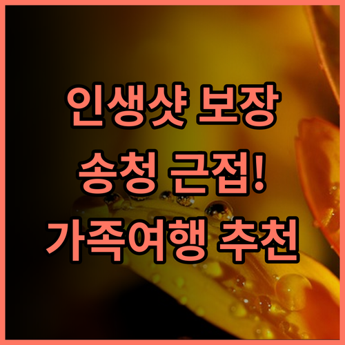 주카모어 래디슨 이송 호텔 항저우 추천 후기 송청 근접! 인생샷 보장 항저우여행 가족여행 호텔추천