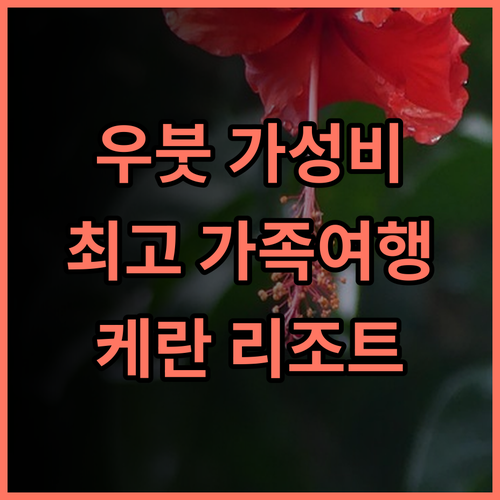 케란 리조트 우붓 가성비 끝판왕 발리 가족여행 숙소 추천 발리숙소 우붓여행 가족여행