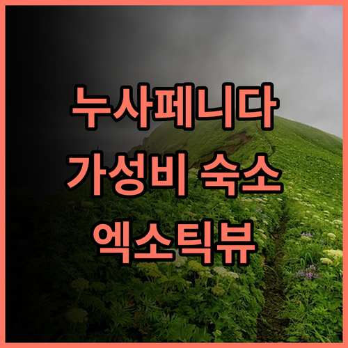 엑소틱 뷰 코티지 추천 후기 가성비 끝판왕! 누사 페니다에서 만나는 특별한 경험 누사페니다 가성비숙소 여행스타그램