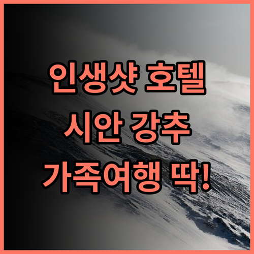 헤 호텔 시안 사우스 게이트 추천 후기 인생샷 보장 디자인 호텔 시안여행 가족여행 인스타핫플