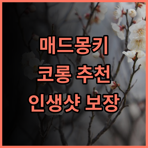 매드 몽키 코 롱 강력 추천! 잊지 못할 코롱에서의 추억! 롱셋비치 가성비최고 인생샷보장