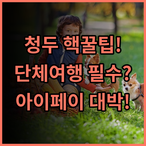 아이페이 호텔 청두 타이구리 친구와 단체 여행에 최적화된 우수 서비스 후기