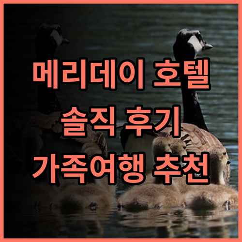 Merry Day Hotel 방문 후 솔직 담백 추천 후기 신베이호텔 반차오구 가족여행