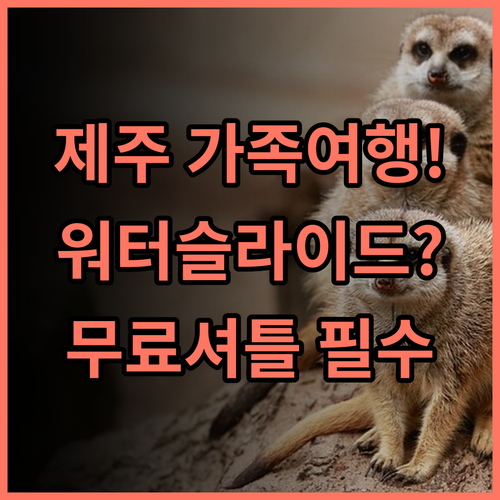 롯데호텔 제주 워터슬라이드와 무료 공항 셔틀을 갖춘 최고의 가족 추천