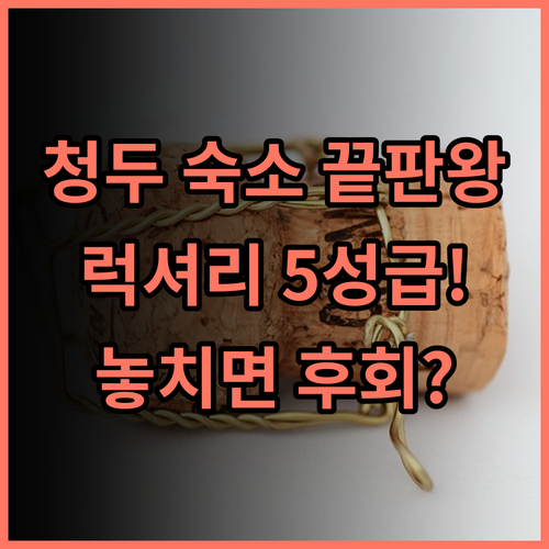 더 세인트 레지스 청두 럭셔리 5성급 호텔 추천 청두 숙소의 품격