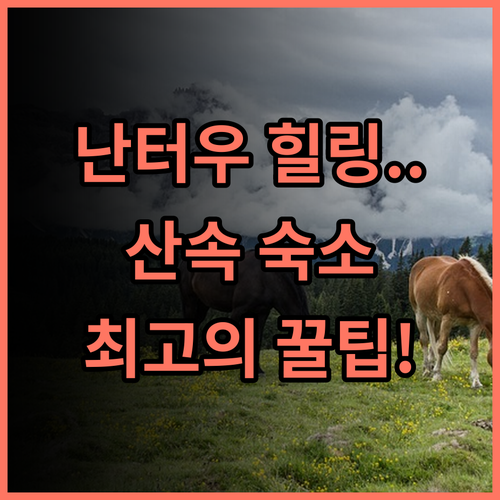 마운틴트래블러 난터우 청정 자연 속에서 힐링하는 최고의 산속 숙소 추천