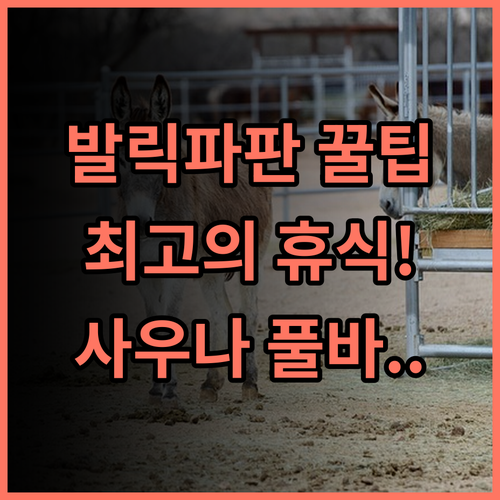 스위스 벨호텔 발릭파판 사우나 풀사이드 바 완비 발릭파판 최고의 휴식 호텔 추천