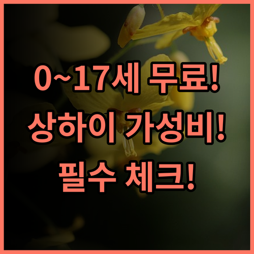 더 큐브 호텔 신차오 0세부터 17세까지 무료 투숙하는 상하이 송장구 가성비 호텔 추천