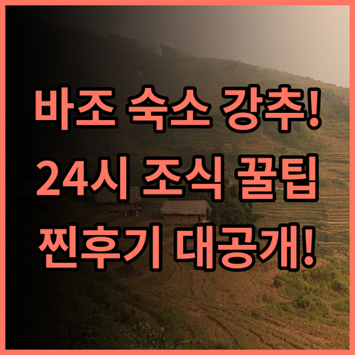 Bajo Komodo Homestay 24시간 프런트와 도시락 조식이 빛나는 코모도 숙소 완벽 후기
