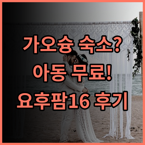 요 후 팜 16 하우스 가오슝 구산구 아동 무료 숙박이 가능한 가족 친화 숙소 추천 후기