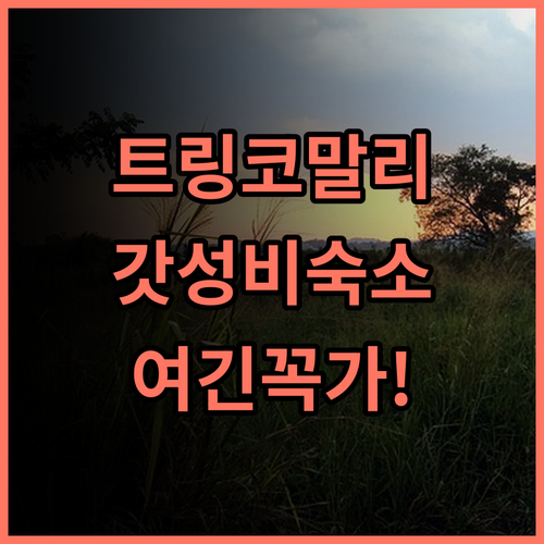 빌라 호텔 트링코말리 추천 후기 조용한 휴식과 시내 탐방을 동시에 즐기는 완벽한 위치의 호텔