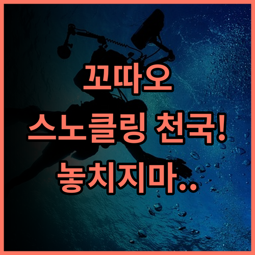 코타오 릴랙스 프리덤 비치 리조트 꼬따오 전용 해변에서 즐기는 최고의 스노클링 휴양지 추천