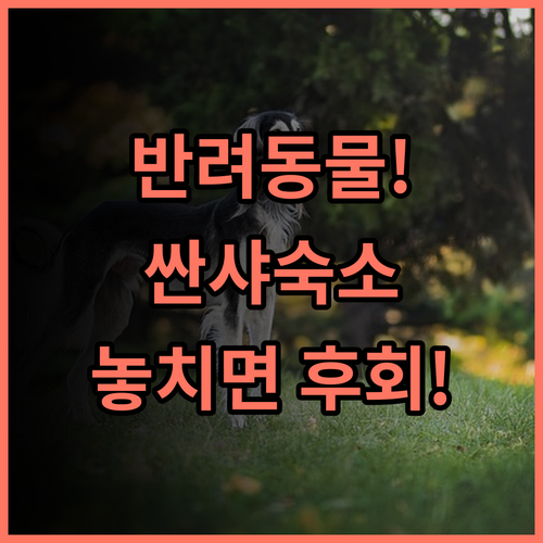 알리아 모텔 반려동물과 함께하는 신베이 싼샤구 여행 숙소 완벽 추천