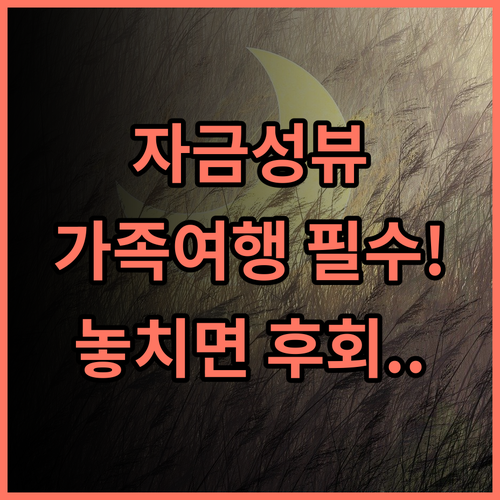 유어코브 바이 하얏트 베이징 금지된 도시 자금성 초근접 가족여행 완벽 추천 후기