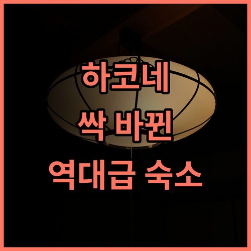 하코네 호텔 고와키엔 후기 리뉴얼로 깨끗한 시설과 편리한 교통을 갖춘 가족 여행 숙소 추천