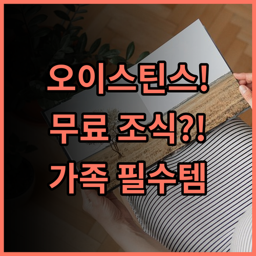 선베이 호텔 바베이도스 오이스틴스 조용한 휴식과 무료 조식이 완벽한 가족 숙소 추천