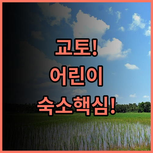 린 헤이안 시라카와 교토 가족여행 어린이 동반 숙박 완벽 후기