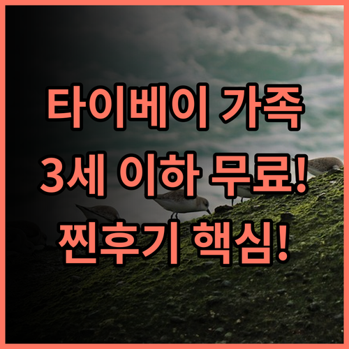 타이페이 챠밍 시티 호텔 다안구 중심 3세 이하 어린이 무료 투숙 가능 가족 호텔 후기