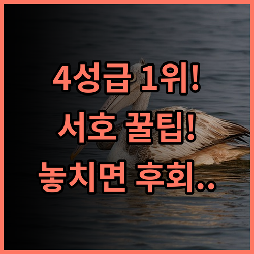 머천트 마르코 호텔 서호 근처 4성급 1위 가성비 호텔 추천