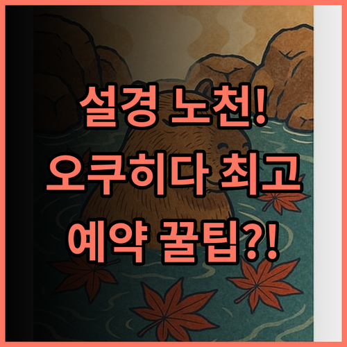 히라유칸 설경 노천 온천 완벽 오쿠히다 료칸 추천 후기