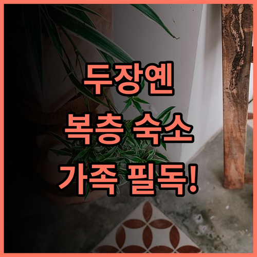 Xianshiyijiu Homestay 후기 및 가족 여행객을 위한 두장옌 복층 숙소 추천