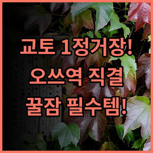 호텔 테토라 오쓰 교토 오쓰역 직결 최고의 교통 편의성 숙소 추천