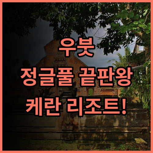 케란 리조트 우붓 추천 후기! 정글 인피니티 풀이 매력적인 발리 신혼여행 숙소 최고의 선택