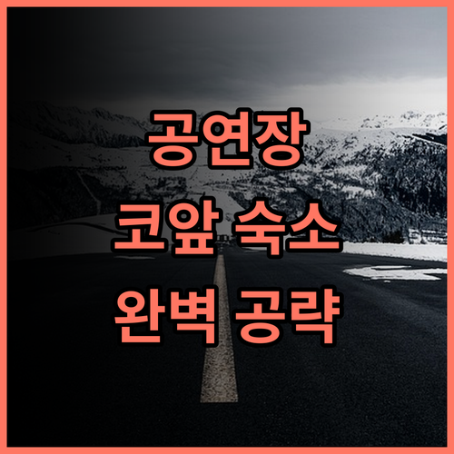 토요코 인 추부 인터내셔널 에어포트 넘버2 후기 및 아이치 스카이 엑스포 공연장 근처 숙소 추천