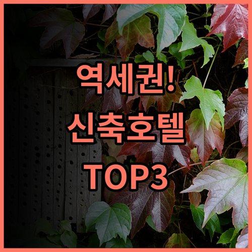 비엔나 3 베스트 호텔 추천 타이저우 기차역 도보 거리의 깨끗하고 현대적인 신축 숙소 후기