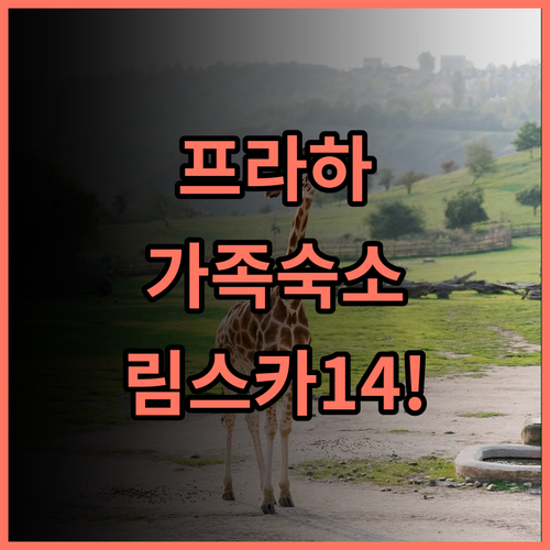 아파트호텔 림스카 14 추천! 취사 가능하고 안전한 프라하 가족 숙소 완벽 후기