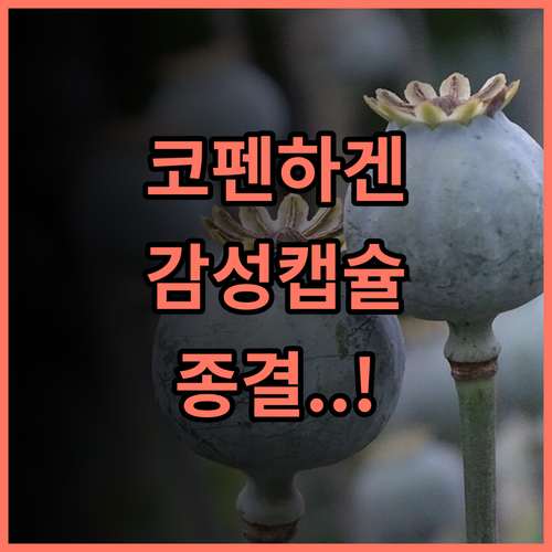 시티허브 코펜하겐 추천 현대적인 감각과 편의성을 모두 갖춘 캡슐 호텔 후기