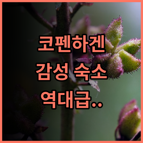 시티허브 코펜하겐 추천! 혼자 여행객을 위한 현대적인 감성 숙소 이용 후기