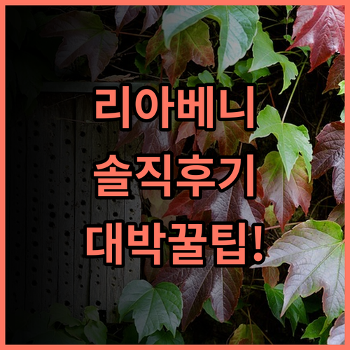 Hotel Liabeny 마드리드 실제 이용후기 및 중심가 숙소 팁 총정리