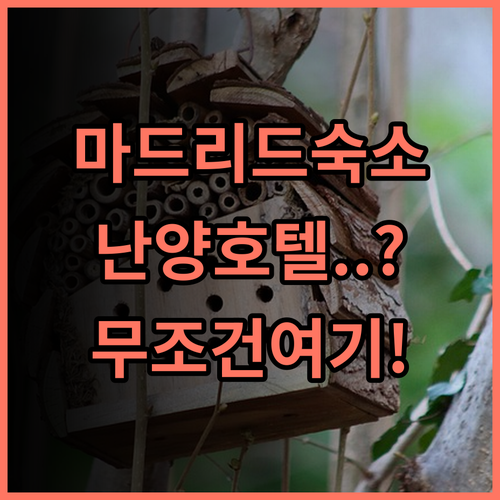 레알 마드리드의 휴일 난양 박물관 호텔 숙소 후기, 추천하는 이유