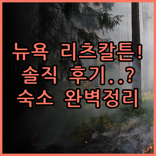 리츠칼튼 뉴욕 센트럴파크 솔직 후기 및 뉴욕 숙소 추천 총정리